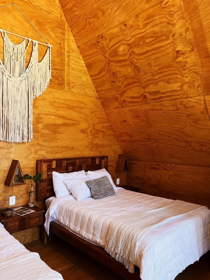 Xtambaa Cabins & Spa Only Adults 埃尔库约 外观 照片